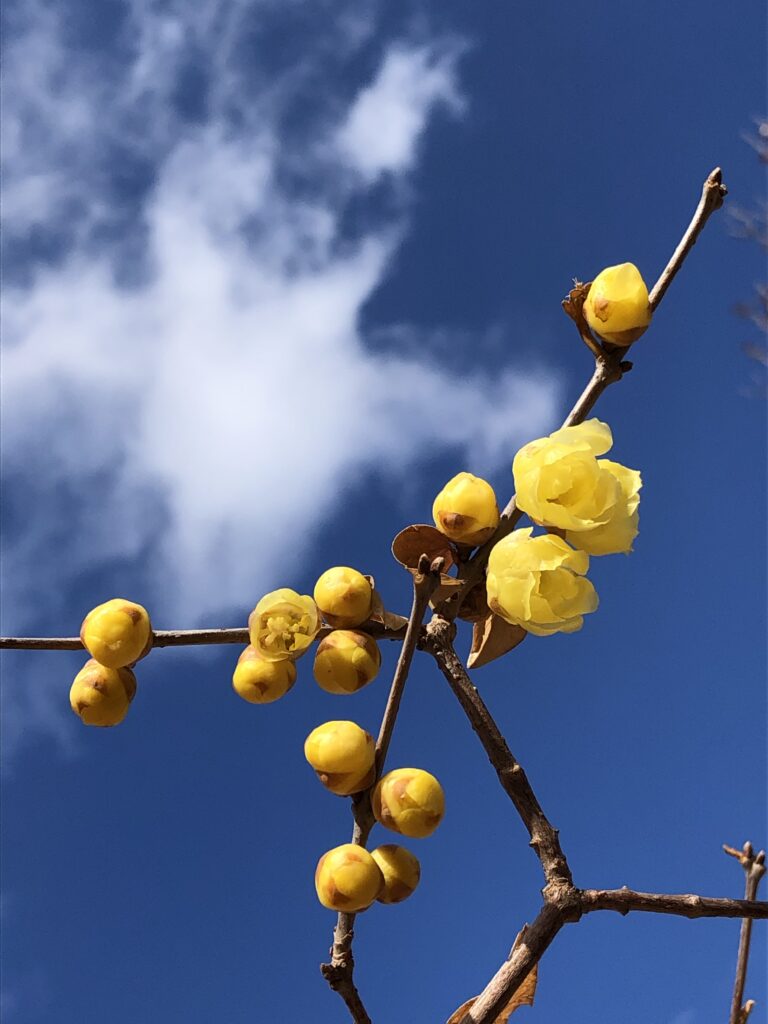 みはらスマイルハート2026.1グリーフプログラム