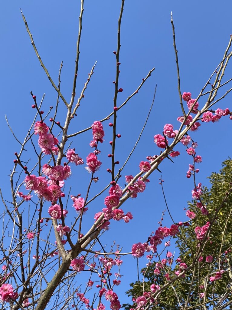 みはらスマイルハート2026.2グリーフプログラム