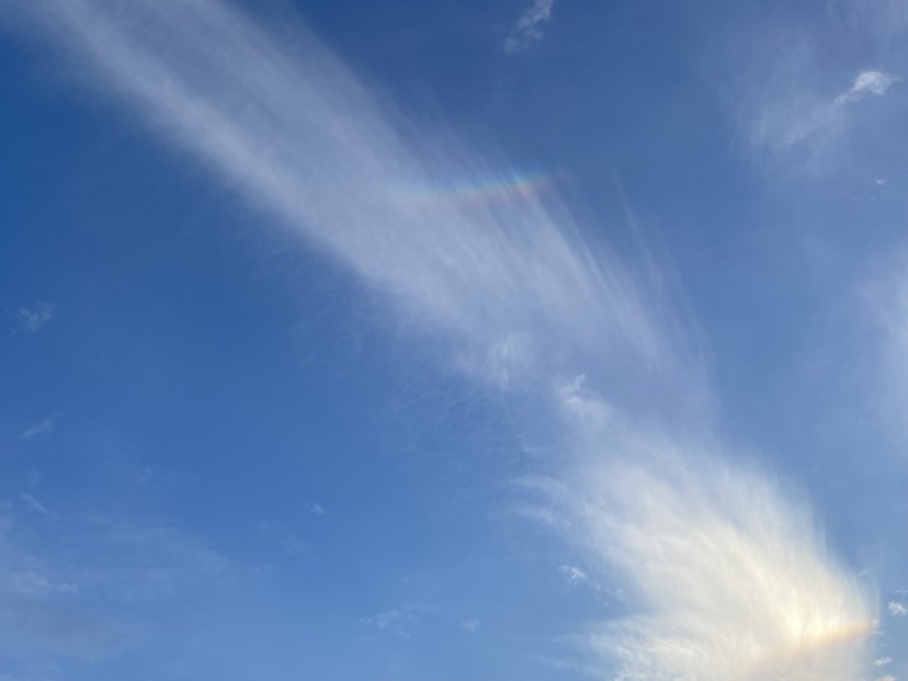 グリーフサポートひろしま　2026.2