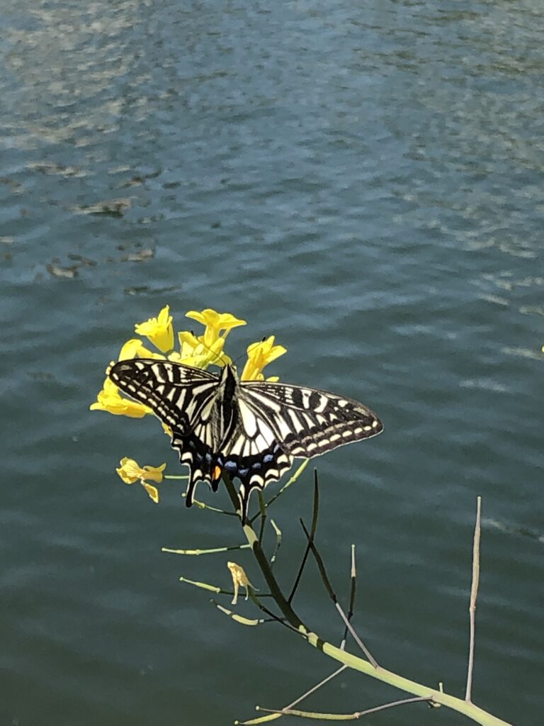 みはらスマイルハート2026.3 グリーフプログラム