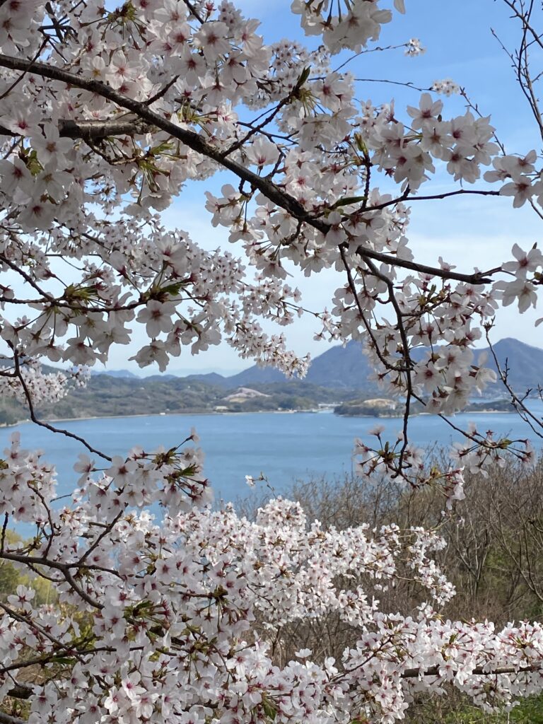 みはらスマイルハート2026.4 グリーフプログラム