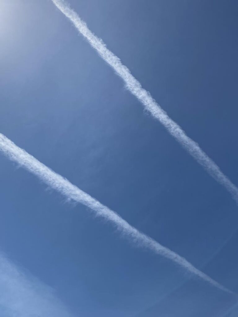 グリーフサポートひろしま 2026.5